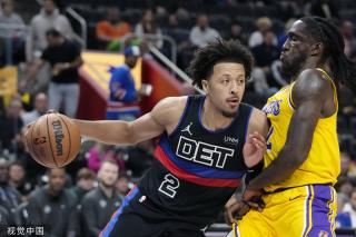 样化发展的 样化发展的